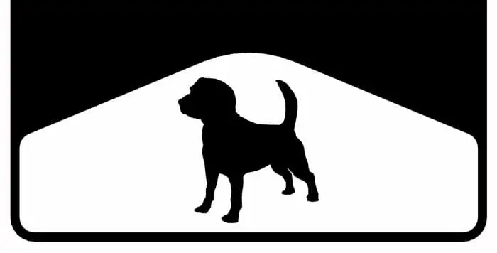 Beagle Weight