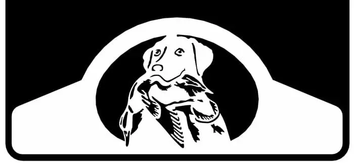 Bird Dog Weight 