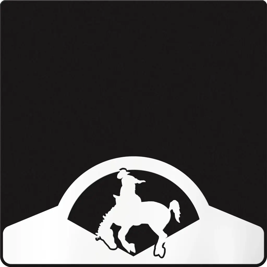 Bucking Horse Weight