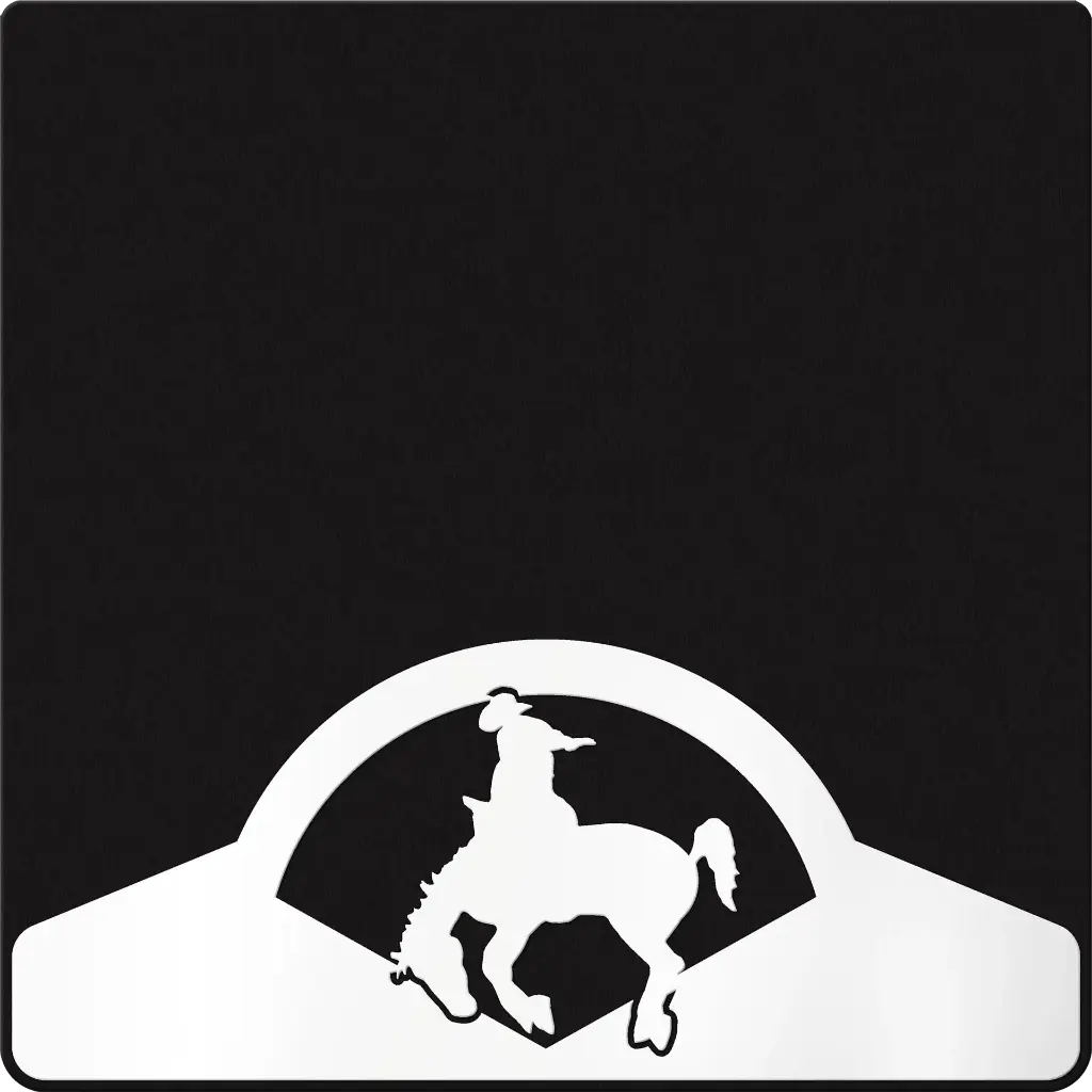 Bucking Horse Weight