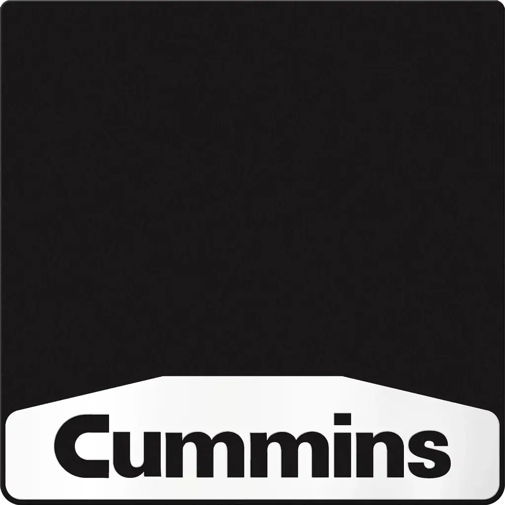 Cummins Weight 