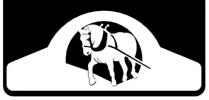 Draft Horse Weight 