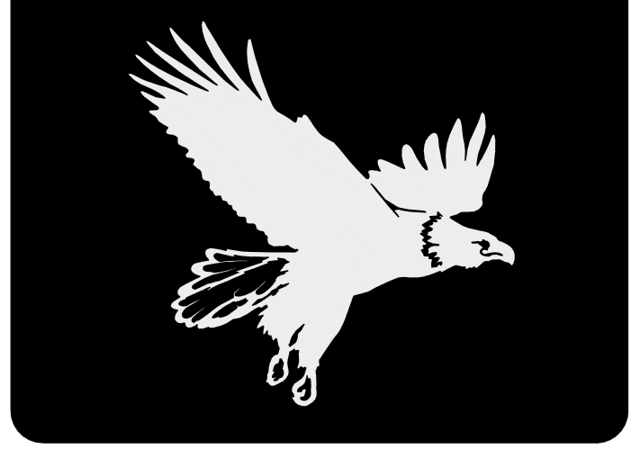 Eagles in Flight Silhouette