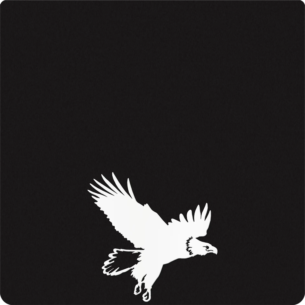 Eagles in Flight Silhouette