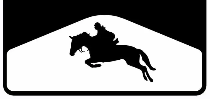 Equestrian Horse