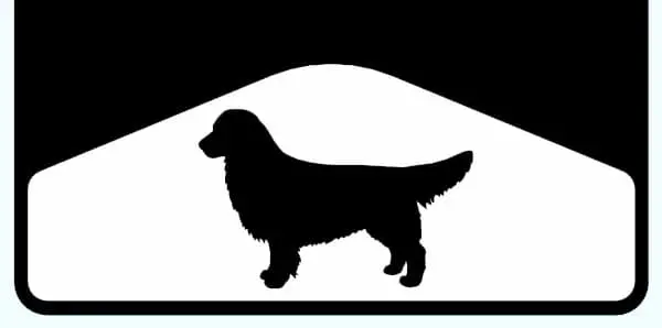Retriever 2 Weight 