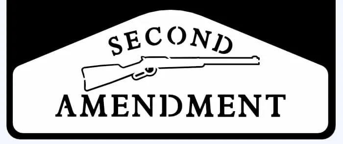 Second Amendment Weight 