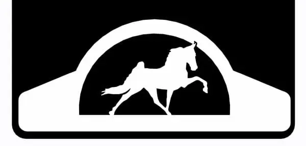 Tennessee Walker Weight 