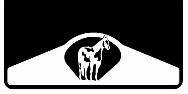Paint Horse Weight Custom B