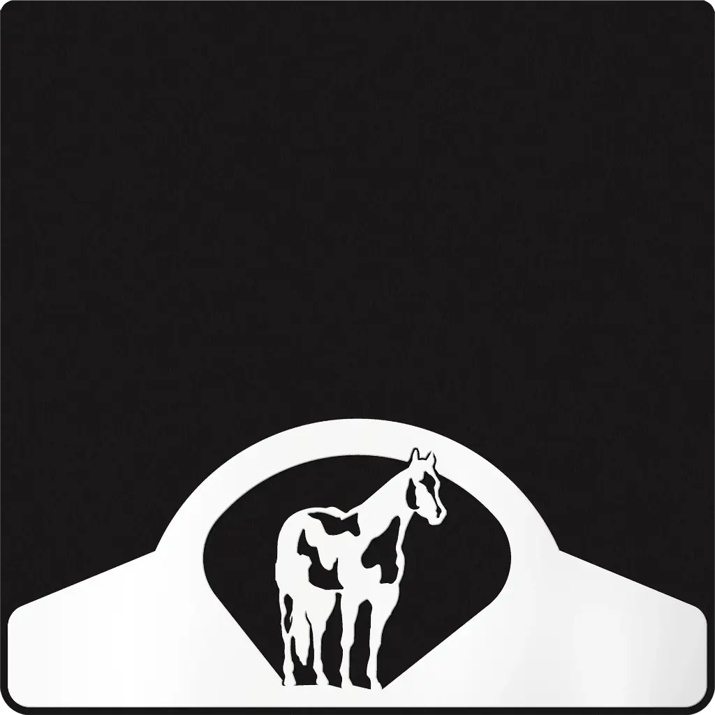 Paint Horse Weight Custom B