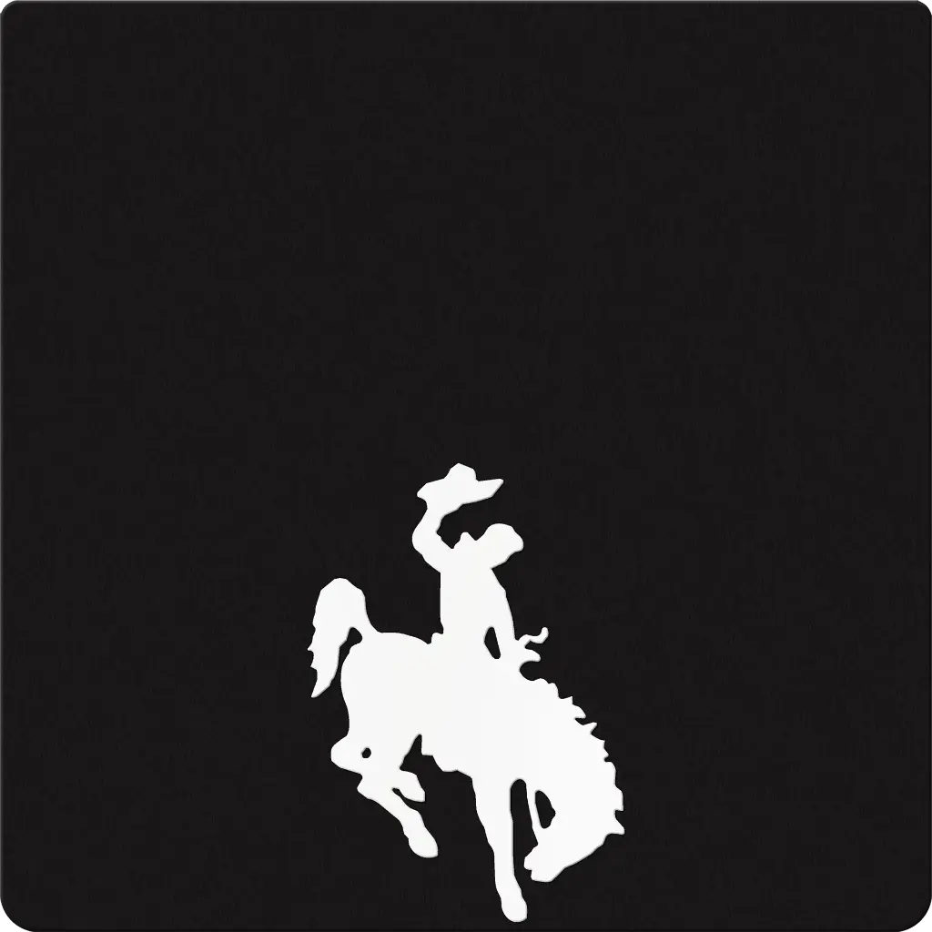 Bronco Weight Silhouette