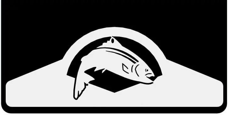 Salmon Weight