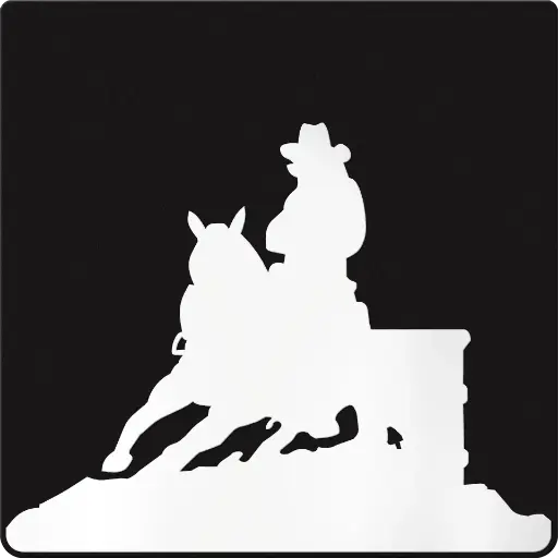 [008191] Barrel Racer Silhouette Weight 