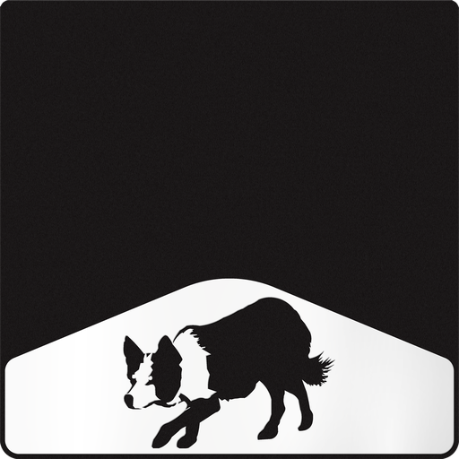 [009431] Border Collie Weight