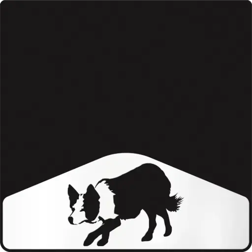 [009707] Border Collie Weight