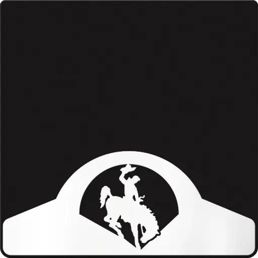 [009708] Bronco Weight Custom B