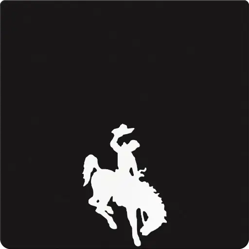 [010017] Bronco Weight Silhouette