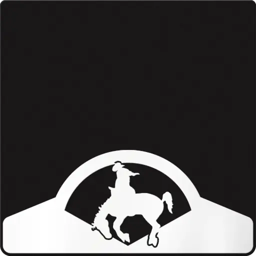 [009710] Bucking Horse Weight