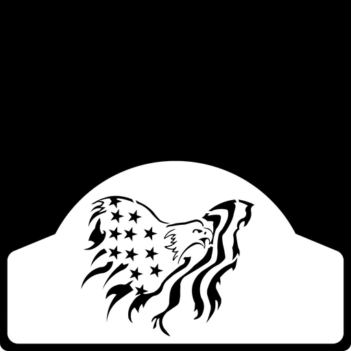 [009471] Eagle in Flag