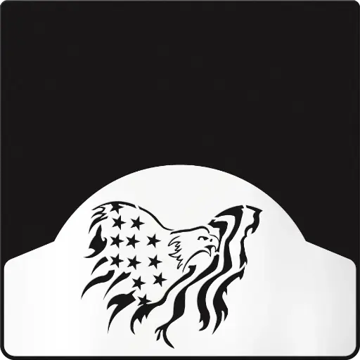 [009746] Eagle in Flag