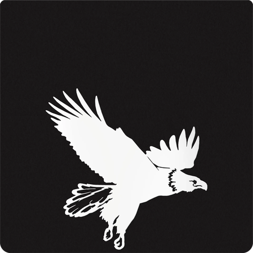[004937] Eagles in Flight Silhouette