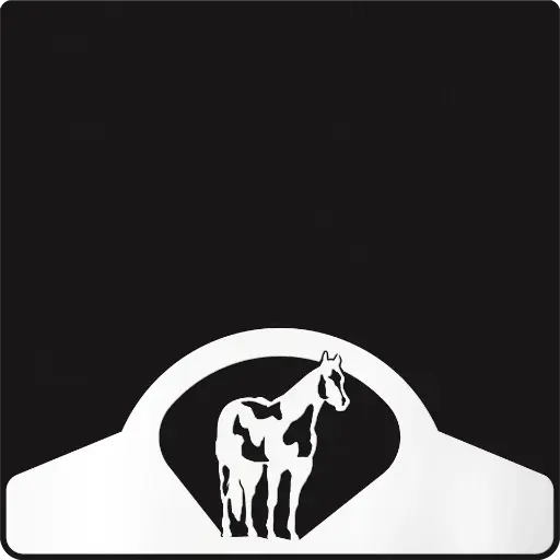 [009814] Paint Horse Weight Custom B