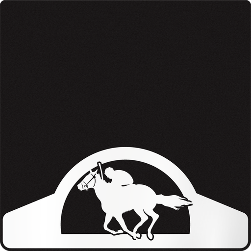 [009551] Race horse with Jockey Weight custom B
