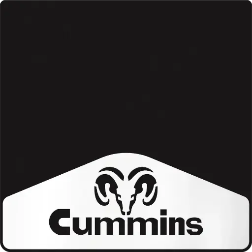 [009829] Ram/Cummins Weight 