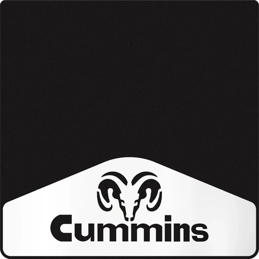 [009829] Ram/Cummins Weight 