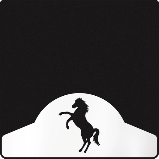 [009832] Rearing Horse
