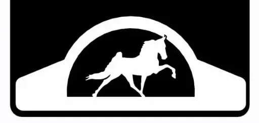 [008180] Tennessee Walker Weight 