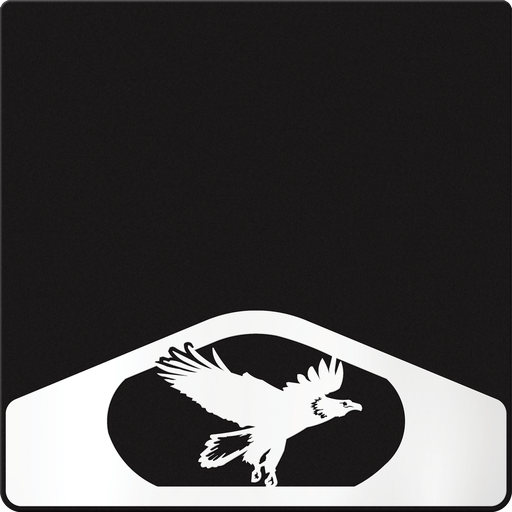 [009472] Eagle in Flight Weight